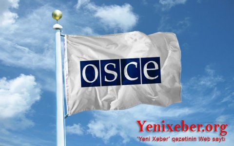 Азербайджан и ещё 10 стран выступили против героизации нацистских преступников и их пособников