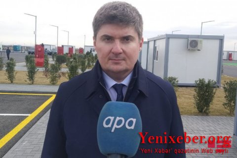 Планируется восстановить 30 тысяч гектаров леса-