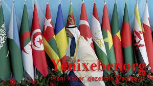 Депутат: Резолюция ОИС -