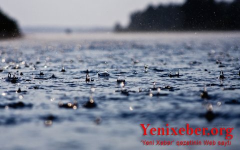 Погода будет неустойчивой -