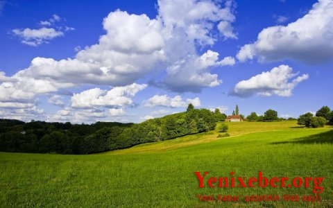 Умайра Тагиева: