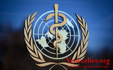 ВОЗ решила переименовать оспу обезьян