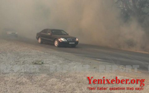 Пожар в Шабране потушен