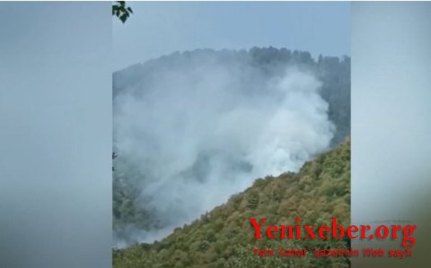 В Габале в горной местности возник пожар