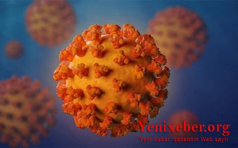 В Азербайджане за сутки выявлено 499 случаев заражения коронавирусом