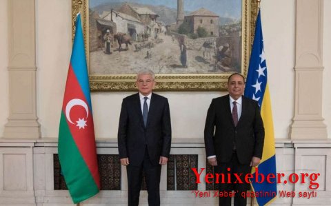 Вилаят Гулиев вручил верительные грамоты председателю президиума Боснии и Герцеговины