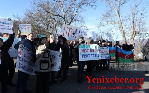 Экоактивистка: