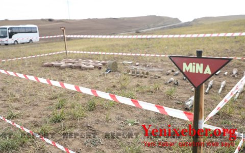 Обнародовано число азербайджанцев,