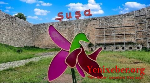 Международные путешественники направились в Шушу, они также побывают на акции экологов