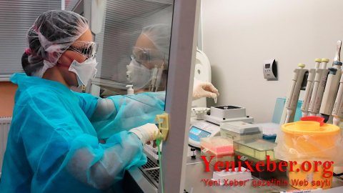 Dünyada 556 335 insan COVID-19-dan ölüb-