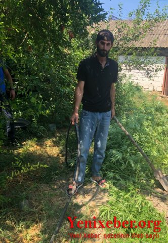 Şabran polisi əməliyyat keçirdi:  -