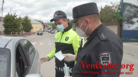 Qəbələyə istirahətə gələnlər  -