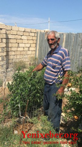  Narkotik becərən şəxs -