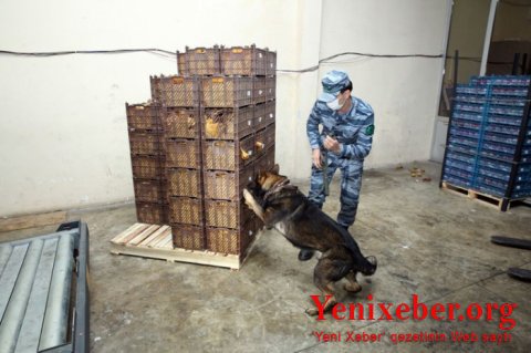 Gömrükdə külli miqdarda narkotik aşkarlandı-