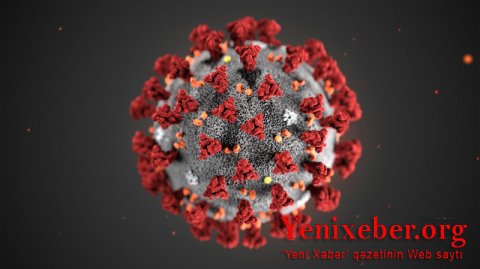 Bu ölkədə koronavirusun yeni növü sürətlə yayılır