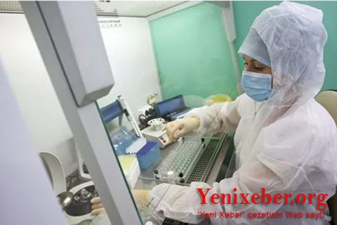 Niderland, Danimarka və Avstraliyada yeni növ koronavirus aşkarlandı-