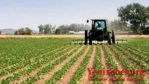 Dizelin bahalaşması kənd təsərrüfatına nə vəd edir?