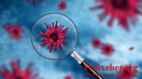Bu ölkədə Braziliya və Cənubi Afrika ştammları aşkarlandı