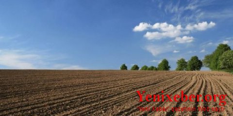 İşğaldan azad edilmiş ərazilərin yarısında  -