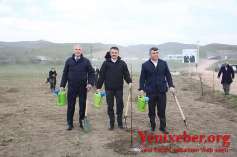 Bu rayonda Azərbaycan-Türkiyə “Qardaşlıq bağı” salındı-
