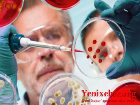 Bu ölkədə koronavirusun yeni ştammı aşkarlandı