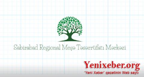 Sabirabad Regional Meşə Təsərrüfat Mərkəzinin müdiri 15 ildə büdcədən xeyli pul mənimsəyib? -