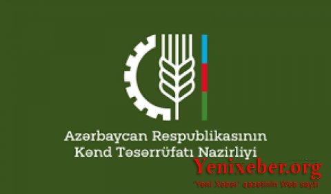 Mürvət Həsənlinin AzPolitika.info, musavat.com, cia.az, bia.az-dakı məqaləsini kim sifariş edib?-