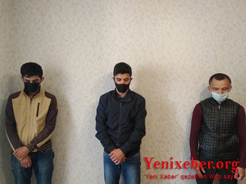 Saatlıda heyvan oğruları saxlanılıb-