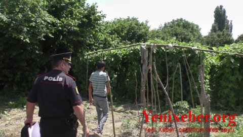 Balakəndə narkotik vasitələrin qanunsuz dövriyyəsi və kultivasiyası ilə məşğul olan şəxslər saxlanılıb