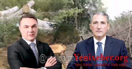 Deputatın viran qoyduğu XAÇMAZ MEŞƏLƏRİ... -