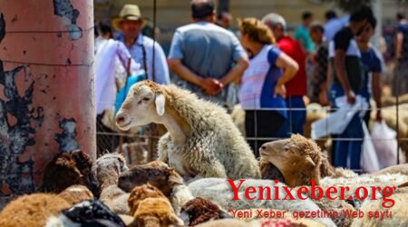 Onlayn satış yarmarkası olacaq-