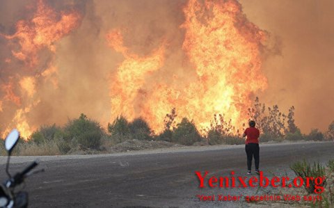 PKK "alov terroru"nu etiraf etdi-