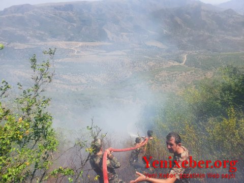   Qəbələdəki yanğın davam edir -