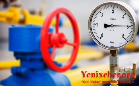 Qazın qiyməti tarixi rekordunu bir daha yeniləyib-