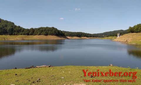 Hirkan Milli Parkı məhv edilir: Nazir müavini merkantil maraqlar güdür-