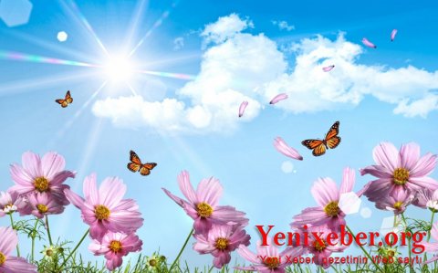 Bahar fəslinin  -