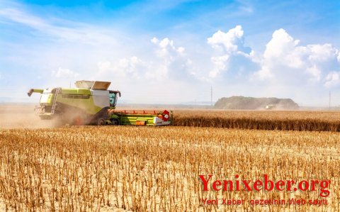 Gürcüstanın taxıl ehtiyatı tükənib