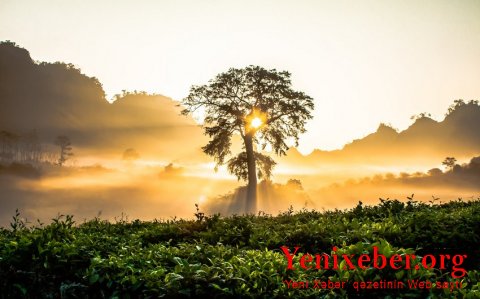 İyunda havanın temperaturu 40 dərəcəyədək artacaq -