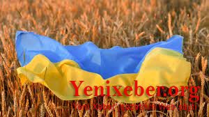 22 milyon ton taxıl limanlarda qalıb - 