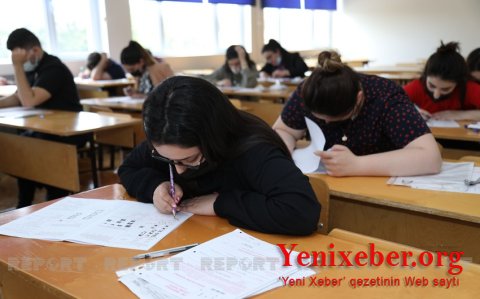 Magistraturaya ixtisas seçimi başlayıb