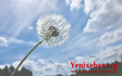 Sentyabr ayına olan hava proqnozu açıqlanıb