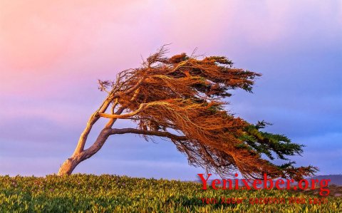 FHN gözlənilən hava şəraiti ilə əlaqədar əhaliyə müraciət edib