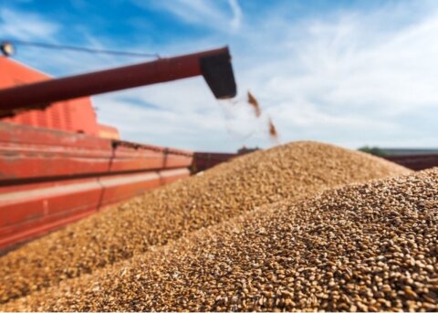 Dövlət ehtiyatlarının saxlanılması və buraxılması qaydaları müəyyənləşir