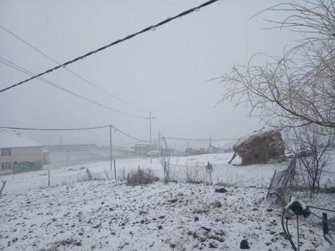 Bu ərazilərimizə 14 sm qar yağdı