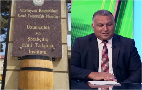 Üzümçülük və Şərabçılıq İnstitutu açıq-aşkar talanır – Bu dəfə də Məcnun Məmmədovun nəzərinə -