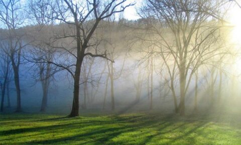 Azərbaycanda təbiət hadisəsi -
