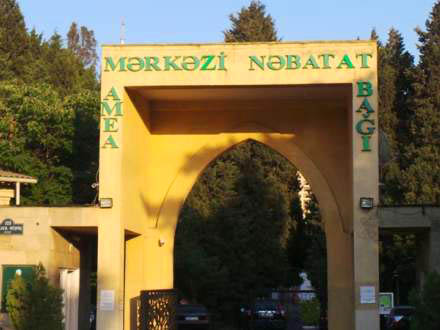 Mərkəzi Nəbatat Bağında Günel Cəfərovaya məxsus MMC-lərlə nə kimi işlər çevrilir? -