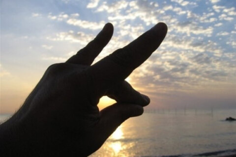 “Bozqurd” işarəsi necə yaranıb?