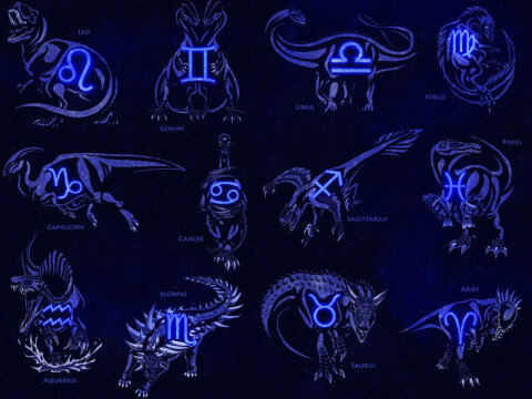 Gərəksiz əşyalardan qurtulmağa çalışın