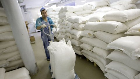 Azərbaycanda unun son topdansatış qiymətləri -